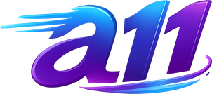 a11